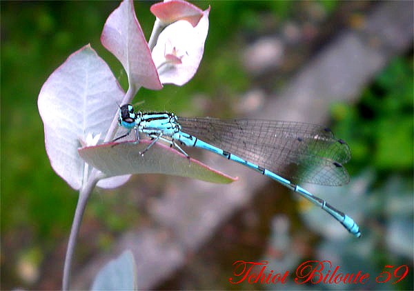 Image hébergée par Casimages.com : votre hébergeur d images simple et gratuit