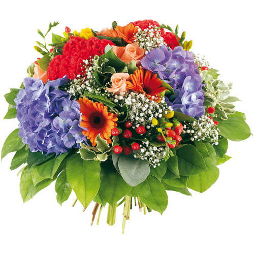 Image h�berg�e par Casimages.com : votre h�bergeur d images simple et gratuit