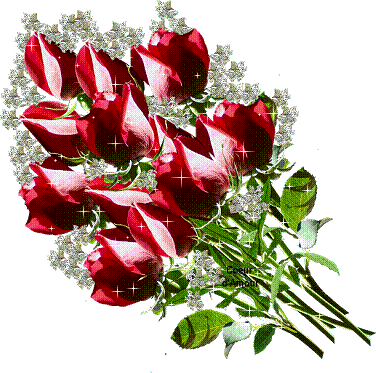 Image h�berg�e par Casimages.com : votre h�bergeur d images simple et gratuit