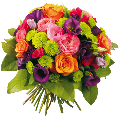 Image h�berg�e par Casimages.com : votre h�bergeur d images simple et gratuit