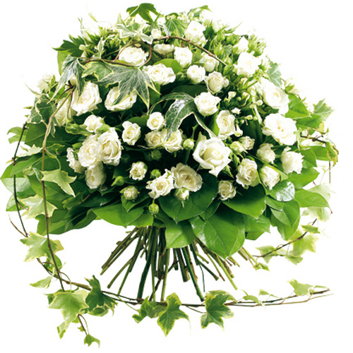 Image h�berg�e par Casimages.com : votre h�bergeur d images simple et gratuit