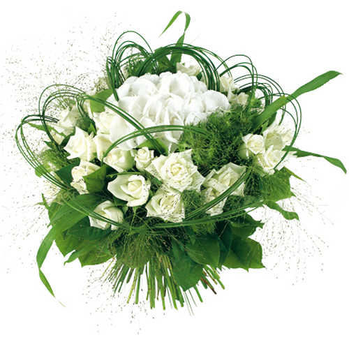 Image h�berg�e par Casimages.com : votre h�bergeur d images simple et gratuit