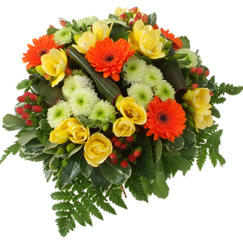 Image h�berg�e par Casimages.com : votre h�bergeur d images simple et gratuit