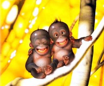 Image hébergée par Casimages.com : votre hébergeur d images simple et gratuit