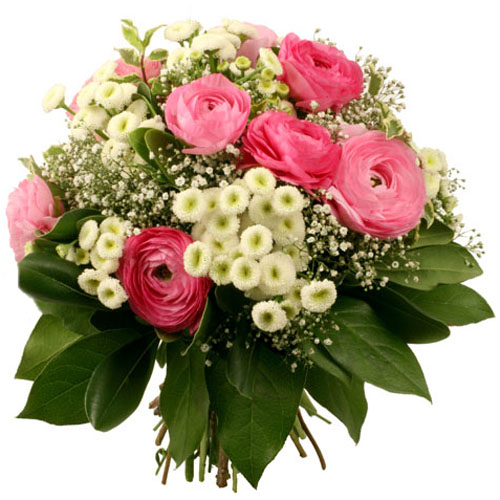 Image h�berg�e par Casimages.com : votre h�bergeur d images simple et gratuit