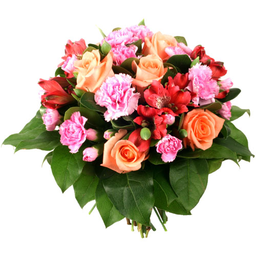 Image h�berg�e par Casimages.com : votre h�bergeur d images simple et gratuit