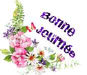 Cliquez pour afficher l'image en taille r�elle