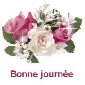 Cliquez pour afficher l'image en taille r�elle