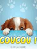 Cliquez pour afficher l'image en taille r�elle
