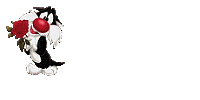 Image hébergée par Casimages.com : votre hébergeur d images simple et gratuit