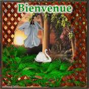 Cliquez pour afficher l'image en taille r�elle