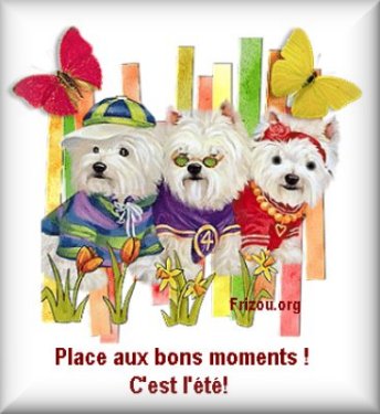 Image hébergée par Casimages.com : votre hébergeur d images simple et gratuit