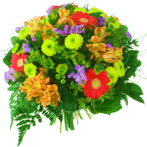 Image h�berg�e par Casimages.com : votre h�bergeur d images simple et gratuit