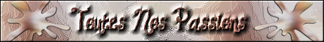 http://nsm01.casimages.com/img/2008/06/28/08062803084325902224729.png