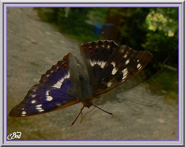 Image h�berg�e par Casimages.com : votre h�bergeur d images simple et gratuit