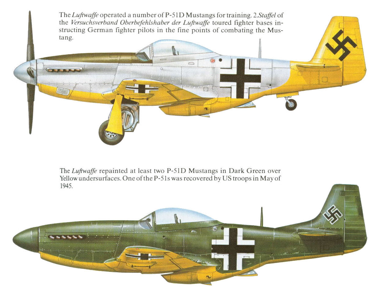 World War 2 Eagles Allied Aircraft Captured By The Luftwaffe