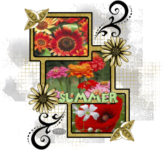 Image hébergée par Casimages.com : votre hébergeur d images simple et gratuit