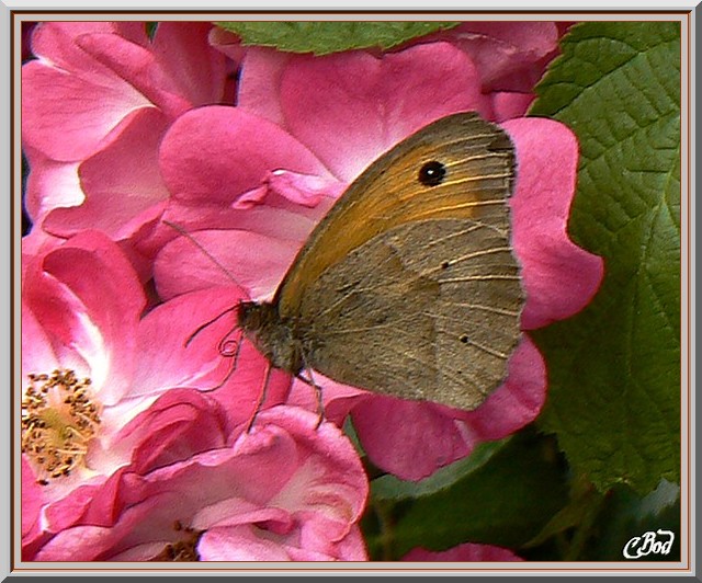 Image h�berg�e par Casimages.com : votre h�bergeur d images simple et gratuit