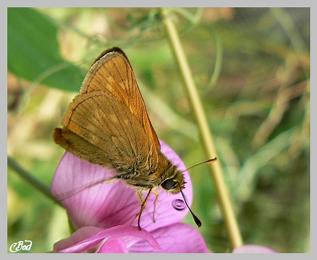 Image h�berg�e par Casimages.com : votre h�bergeur d images simple et gratuit