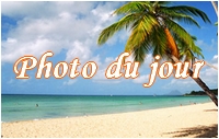 http://nsm01.casimages.com/img/2008/07/01//080701113849308632233146.jpg