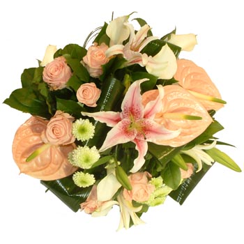 Image h�berg�e par Casimages.com : votre h�bergeur d images simple et gratuit