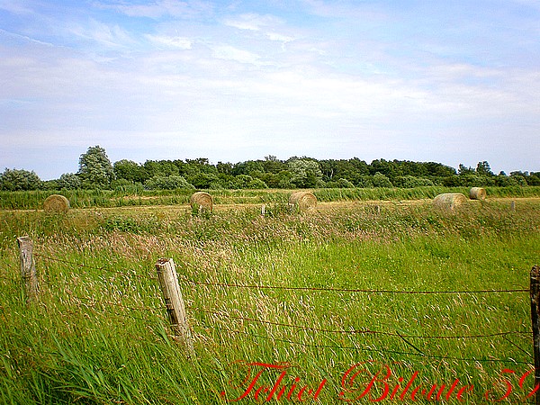 Image hébergée par Casimages.com : votre hébergeur d images simple et gratuit