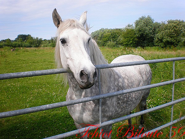 Image hébergée par Casimages.com : votre hébergeur d images simple et gratuit