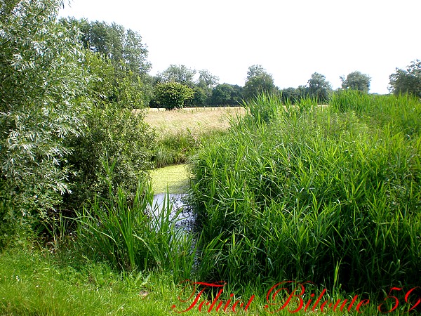 Image hébergée par Casimages.com : votre hébergeur d images simple et gratuit