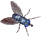 Image h&eacute;berg&eacute;e par Casimages.com : votre h&eacute;bergeur d images simple et gratuit