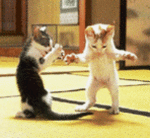 http://nsm01.casimages.com/img/2008/07/03//080703090258131522238335.gif