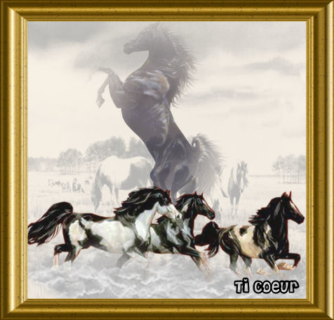 Image hébergée par Casimages.com : votre hébergeur d images simple et gratuit