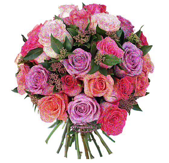 Image h�berg�e par Casimages.com : votre h�bergeur d images simple et gratuit
