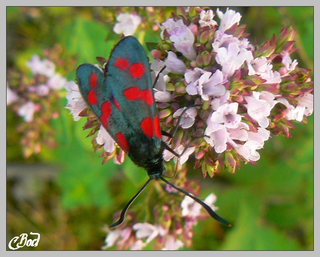 Image h�berg�e par Casimages.com : votre h�bergeur d images simple et gratuit