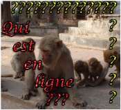 Qui est en ligne ?