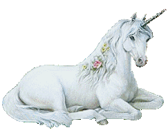 Image h�berg�e par Casimages.com : votre h�bergeur d images simple et gratuit