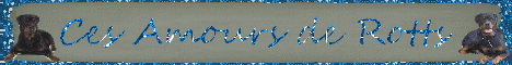 Image h�berg�e par Casimages.com : votre h�bergeur d images simple et gratuit