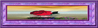 Image h�berg�e par Casimages.com : votre h�bergeur d images simple et gratuit