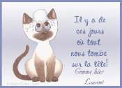 Cliquez pour afficher l'image en taille r�elle
