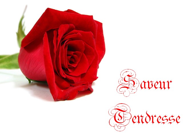 Image hébergée par Casimages.com : votre hébergeur d images simple et gratuit