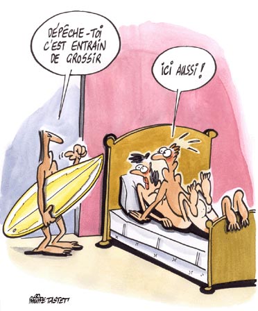 voir l'image en taille réelle