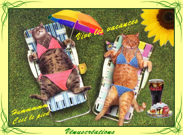 Image hébergée par Casimages.com : votre hébergeur d images simple et gratuit