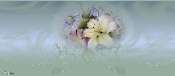 butterfly flower.jpg
