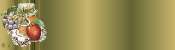 corbeille de fruits.jpg
