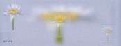 fleur.jpg