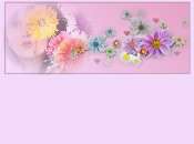 papiertopfleurs.jpg