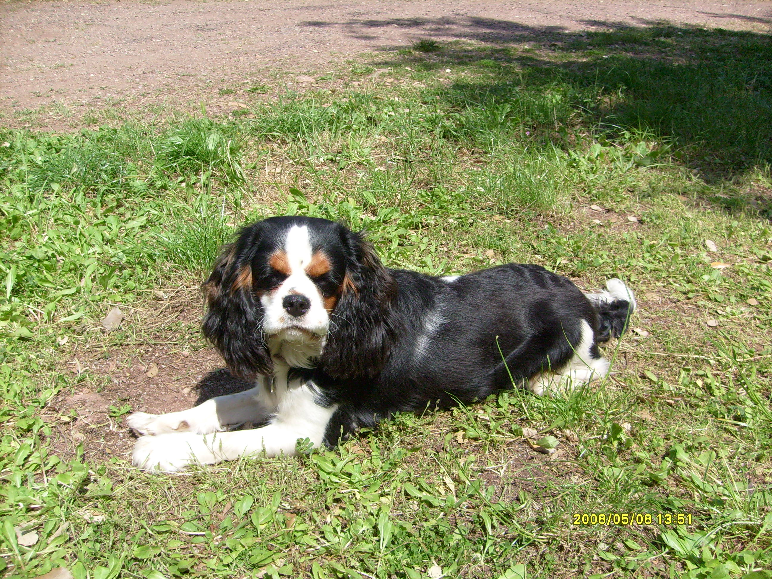 Image h�berg�e par Casimages.com : votre h�bergeur d images simple et gratuit