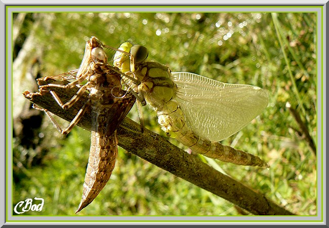 Image h�berg�e par Casimages.com : votre h�bergeur d images simple et gratuit