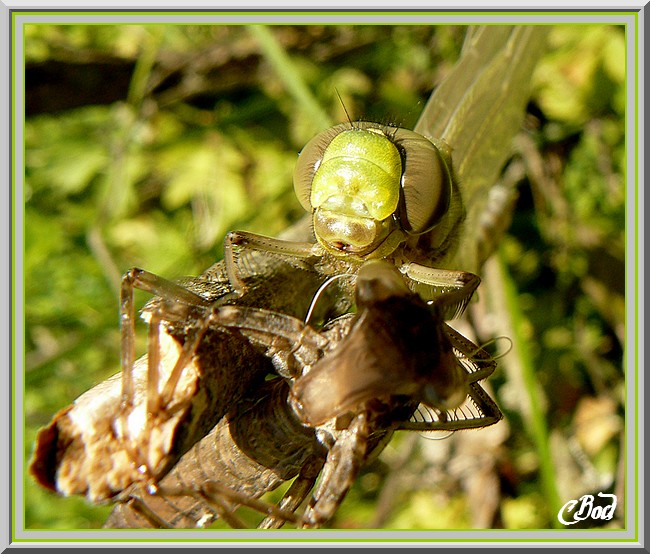 Image h�berg�e par Casimages.com : votre h�bergeur d images simple et gratuit