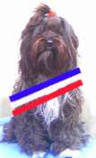 Hebergement gratuit d image et photo