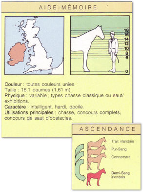 Image hébergée par Casimages.com : votre hébergeur d images simple et gratuit